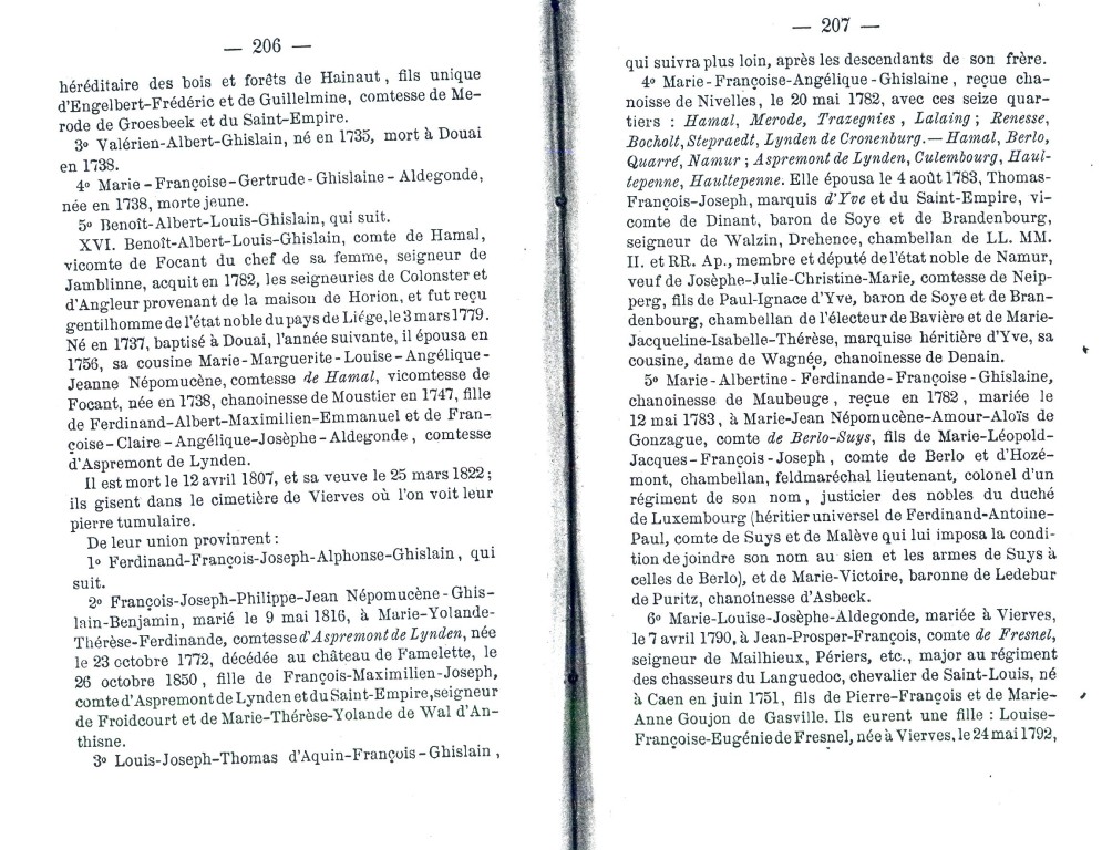 NoblesseBelge_1868_207.jpg