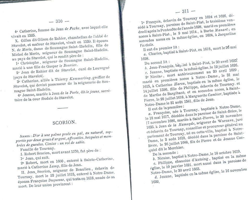 NoblesseBelge_1868_311.jpg