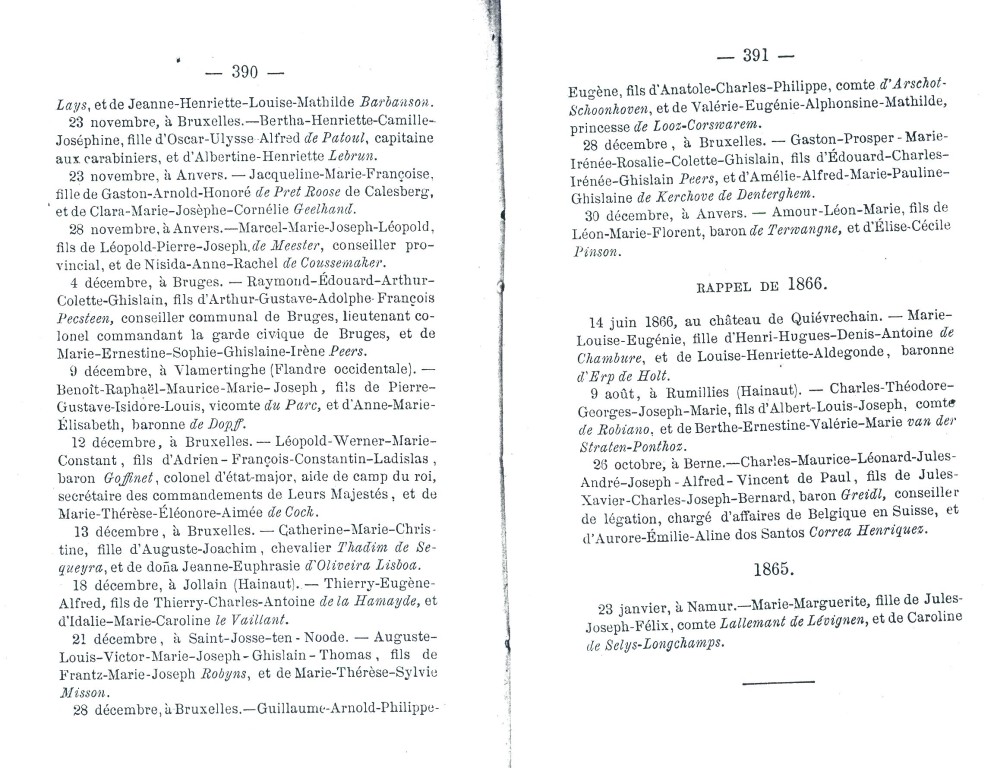 NoblesseBelge_1868_391.jpg