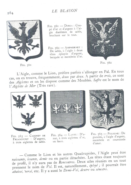 Gheusi_264.jpg