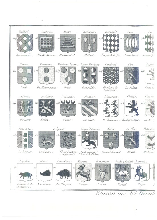 PlancheHeraldique_09.jpg