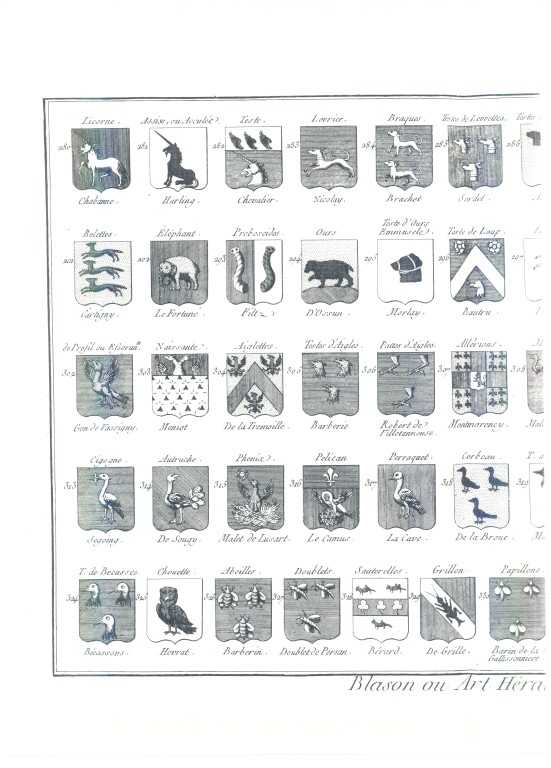PlancheHeraldique_11.jpg