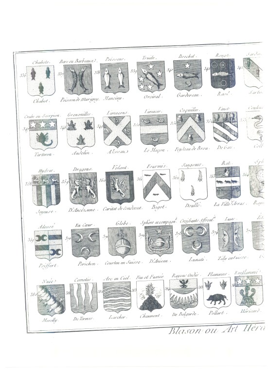 PlancheHeraldique_13.jpg
