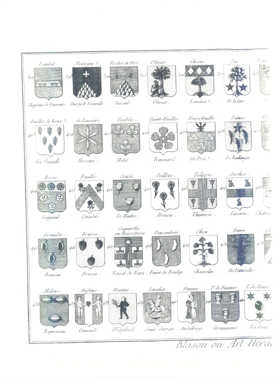 PlancheHeraldique_15.jpg