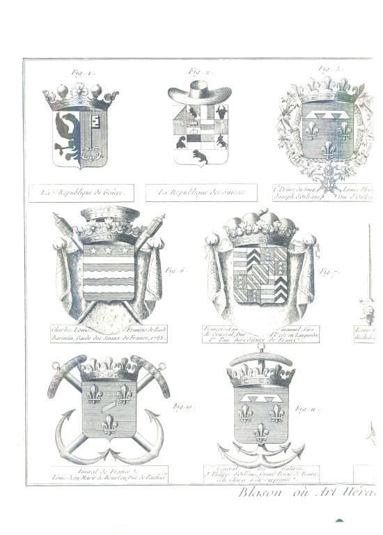 PlancheHeraldique_31.jpg