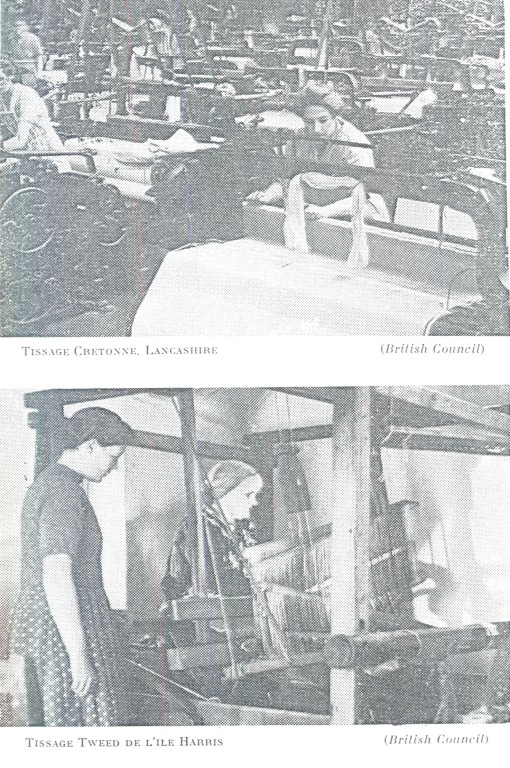 LainageLinCoton_248B.jpg