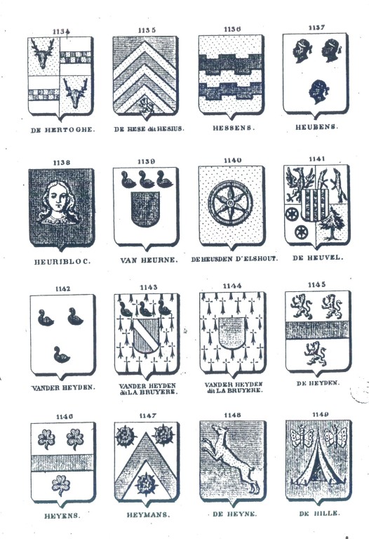Vegiano_Arm1134.jpg