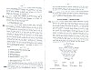 Vegiano_T2_0491.jpg Vegiano_T2_0491.jpg
