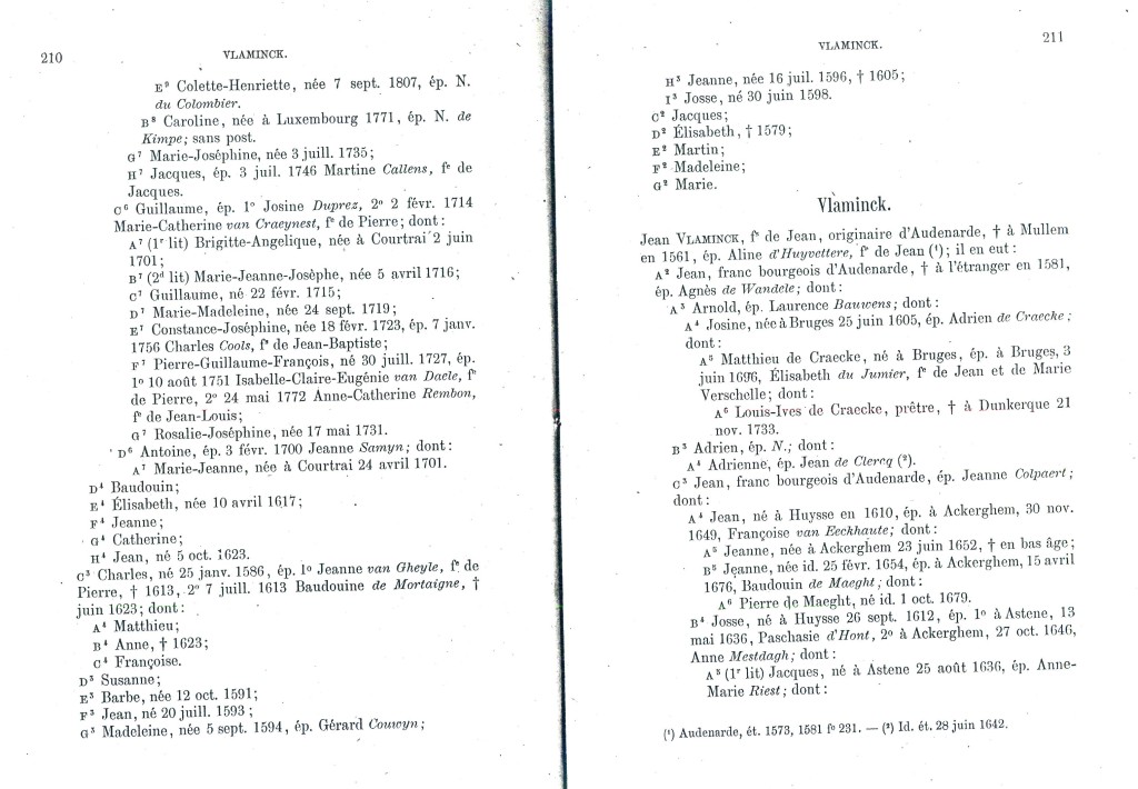 DeVlaminckT2_211.jpg